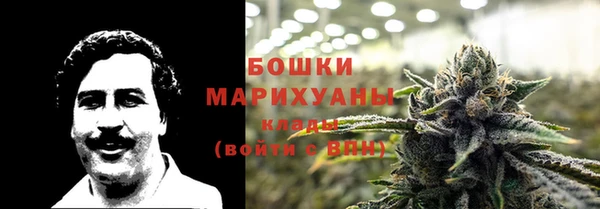 дмт Ростов