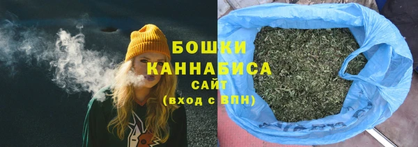 spice Рославль