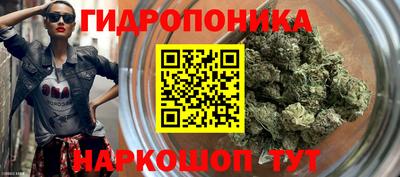 гидропоника Боровичи