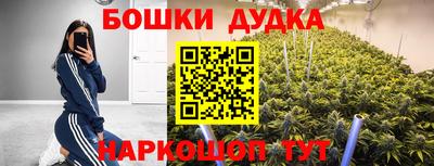 гидропоника Боровичи